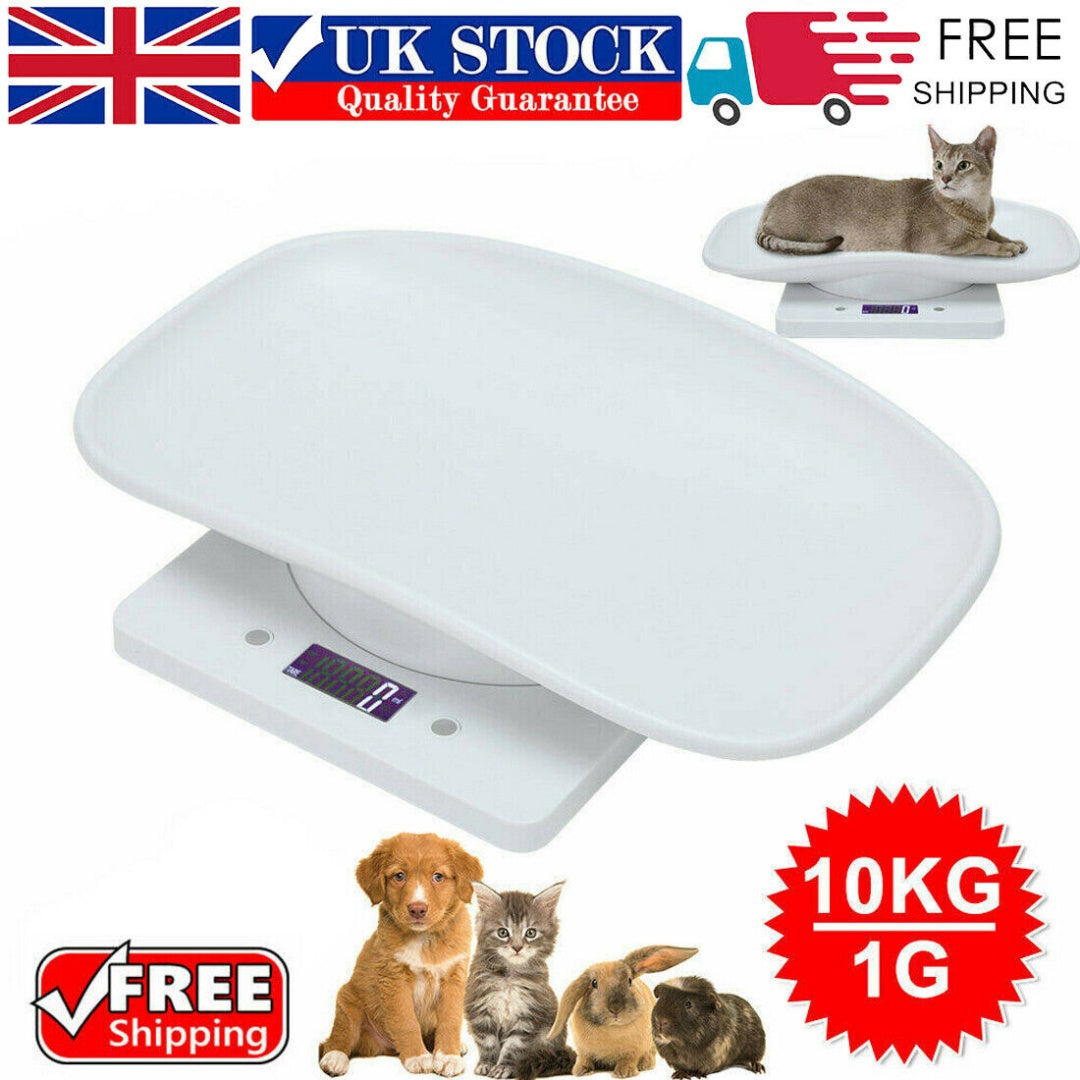 Always Know If Your Cat Is Thriving — Pet Weight Scale