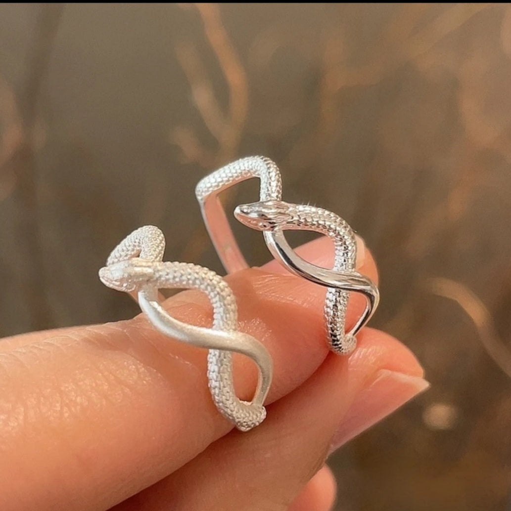 The Ring That Stops Conversations — Sterling Silver Snake