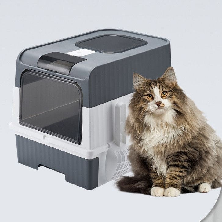 The Litter Box That Keeps the Peace — Large Enclosed