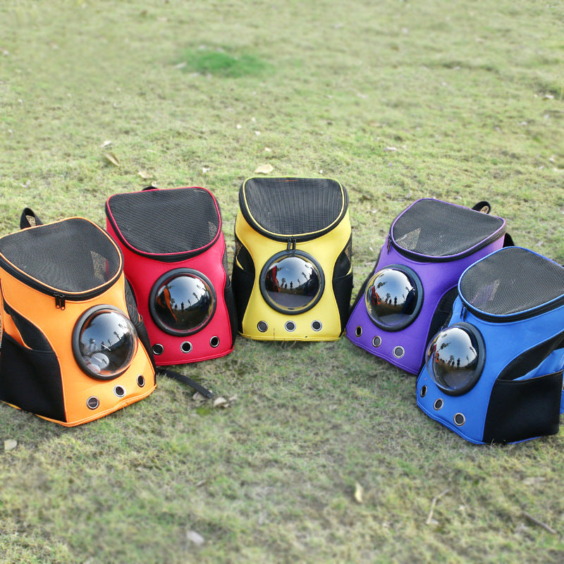 Take Your Cat Everywhere — The Explorer Bubble Backpack