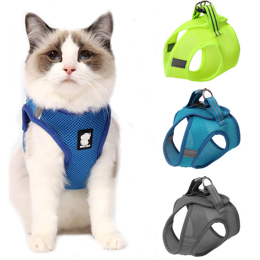 The Cat Parent's Anti-Escape Harness — Safe Adventures