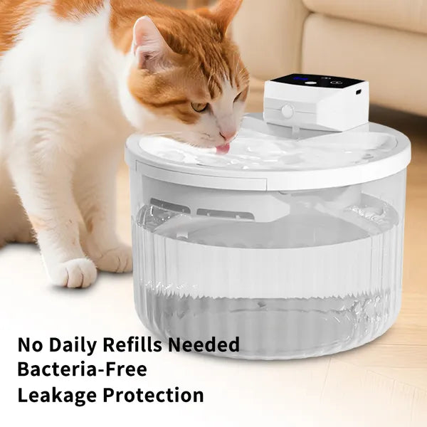 Never Refill the Bowl Again — Automatic Cat Water Fountain