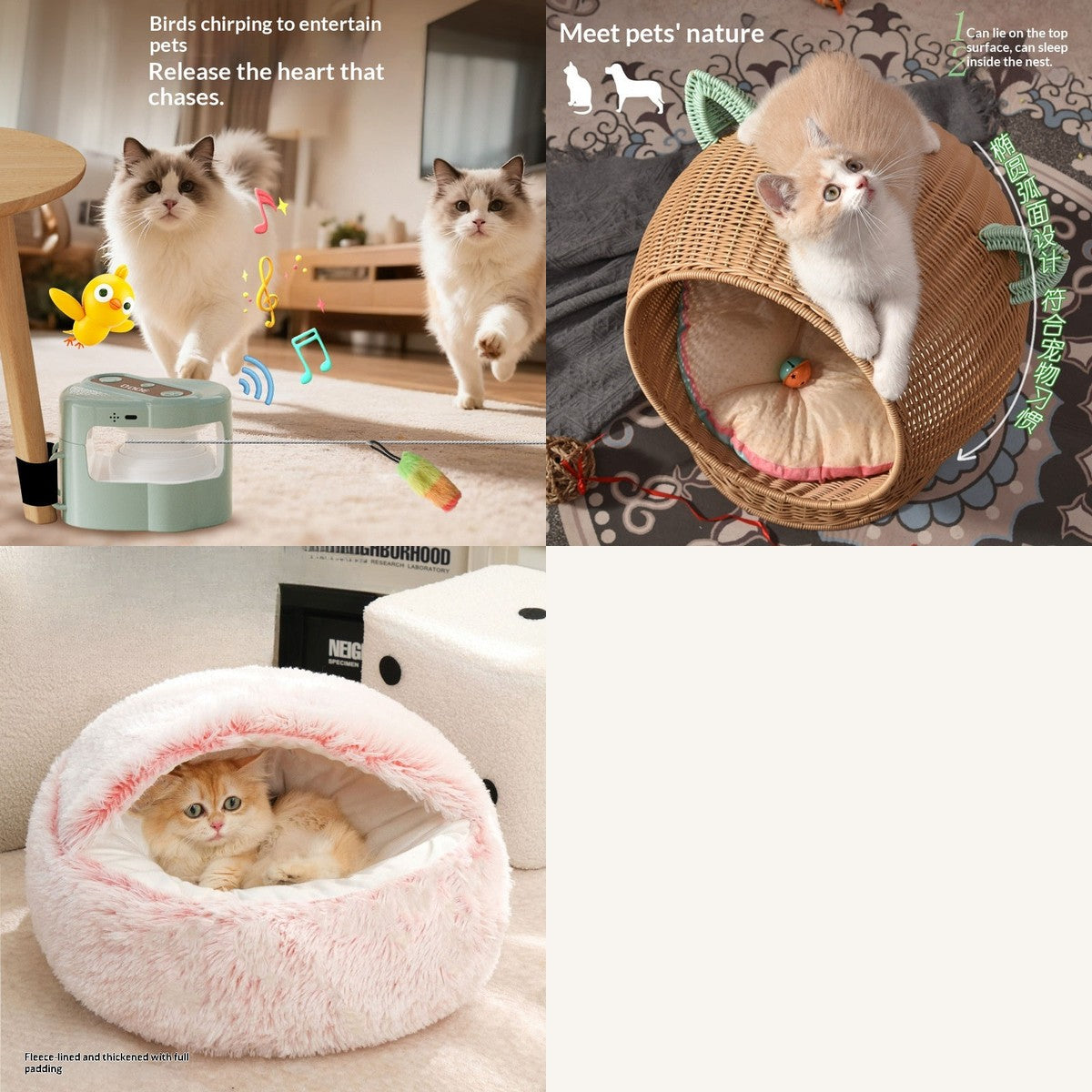 Gift for the Cat Lover Who Has Everything