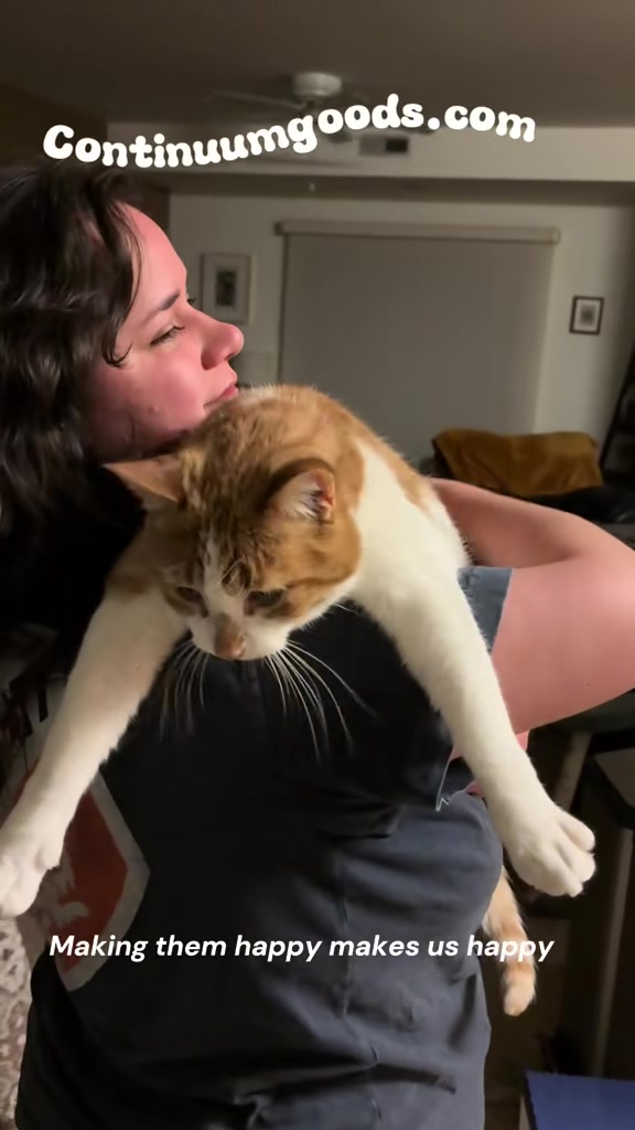 Carter the cat - Cat Lover section