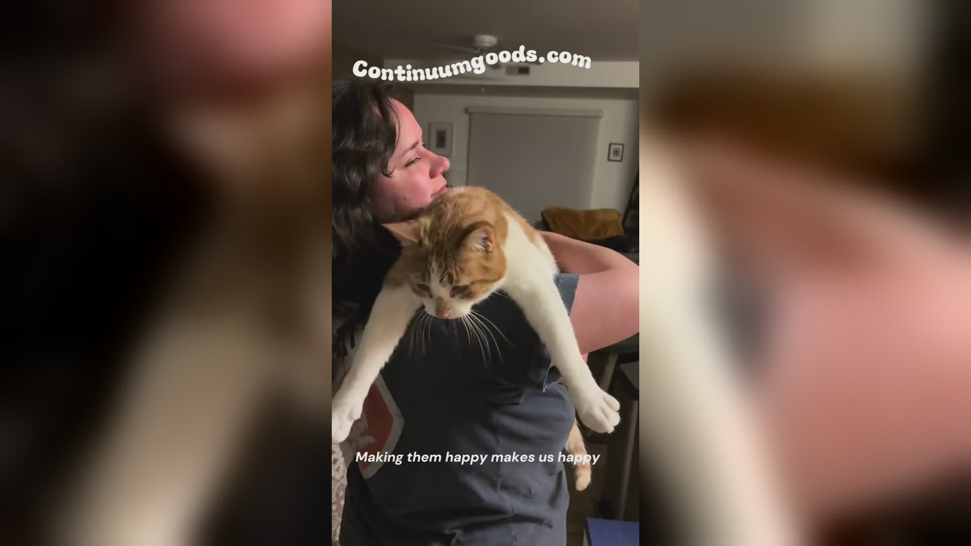 Carter the cat on shoulder - hero image