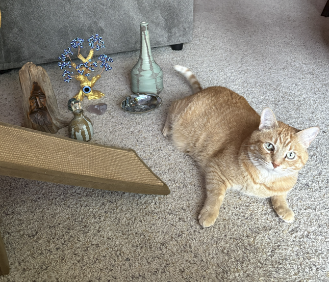 Cash with decorative finds