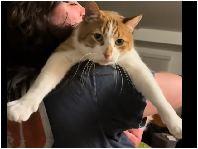 Carter — Chief Quality Inspector
